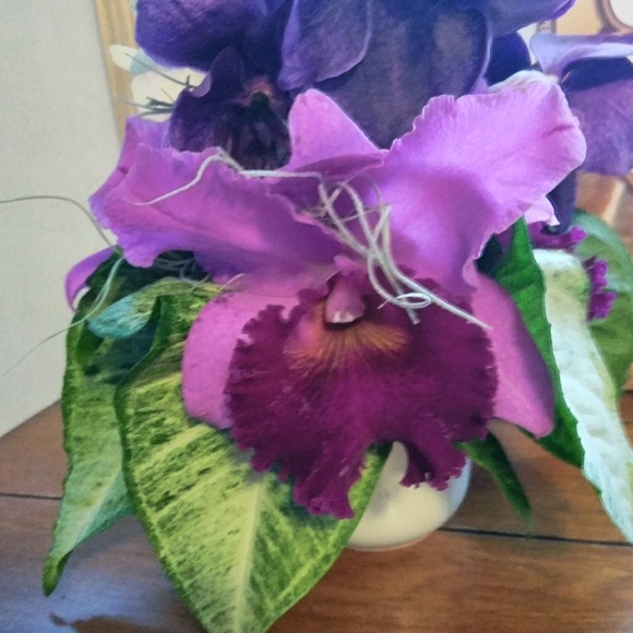 Meet your Posher, Deborah - Picture 2 of 2